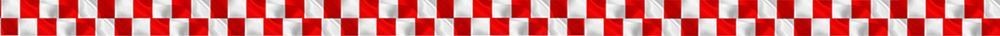 OUVRIR-PIZZERIA-PIZZA-RESTAURANT-FASTFOOD-FRANCHISE SPEEDY PIZZ